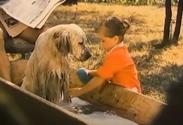 Bambuľka: Čistota pol života (rozprávka)