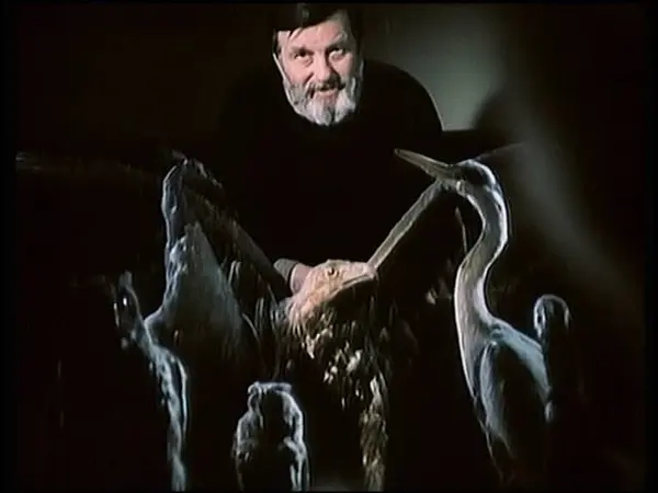 Bambuľka: Straka (rozprávka)