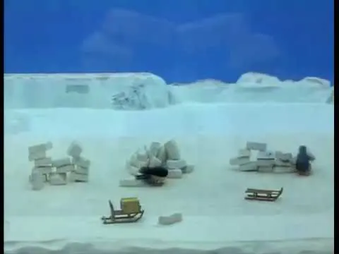 Pingu: Stavba iglu (rozprávka)