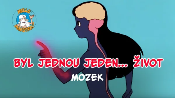 Bol raz jeden život – Mozog - rozprávka