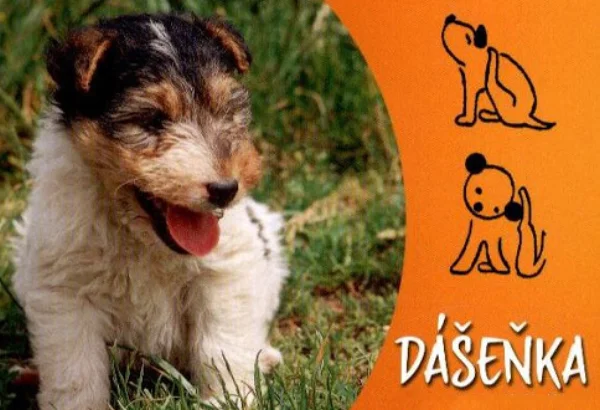 Dášenka (rozprávka)