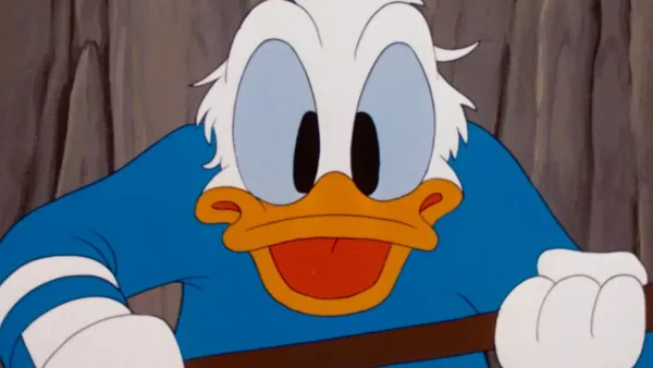 Kačer Donald, Pluto a Mickey – Káčer Donald - Zimné zásoby