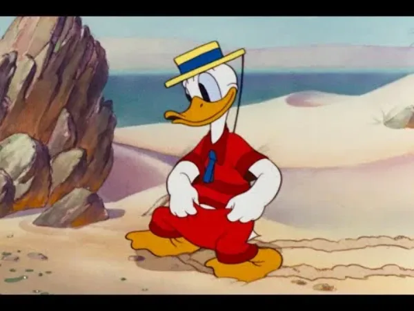 Kačer Donald, Pluto a Mickey – Káčer Donald - plážový piknik