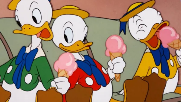 Kačer Donald, Pluto a Mickey – Káčer Donald - Pán káčer