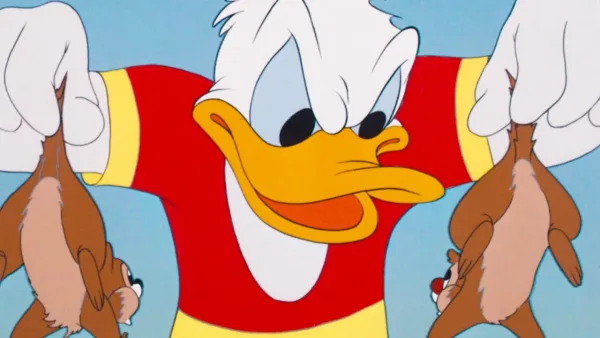 Kačer Donald, Pluto a Mickey – Káčer Donald  - Príves