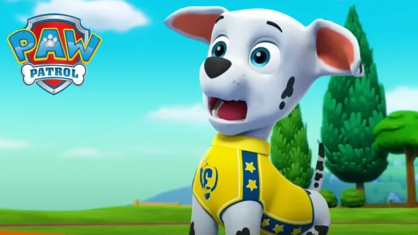 Tlapková patrola – Prekvapenie pre Marshalla! - Tlapková Patrola