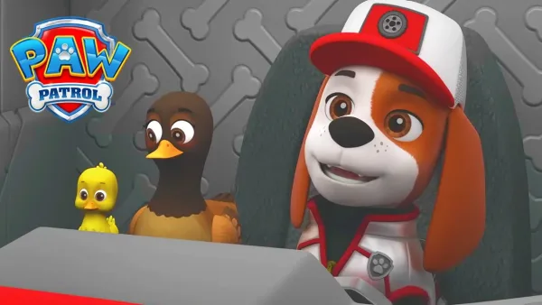 Tlapková patrola – Tlapková Patrola - Nový kamarád opravuje hráz!