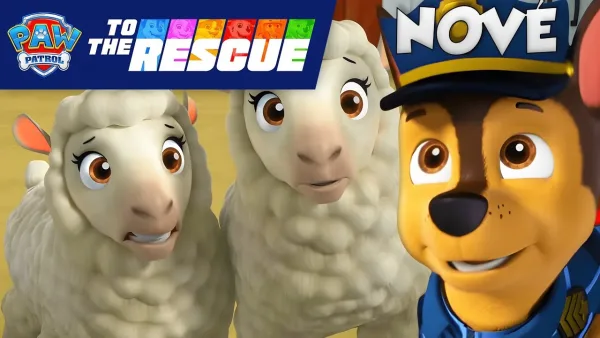 Tlapková patrola – Tlapková patrola – Chase zachraňuje zatúlané ovečky